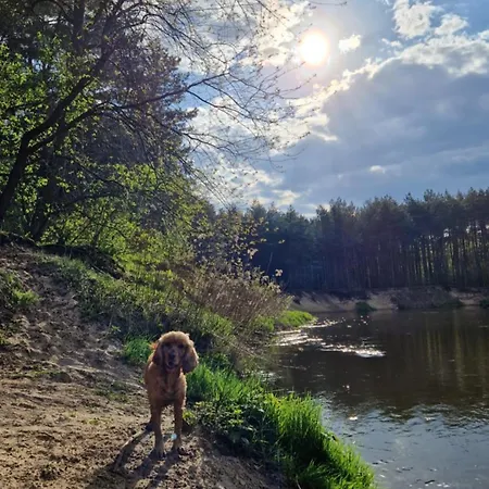 Swiderska Strefa Zen * Otwock